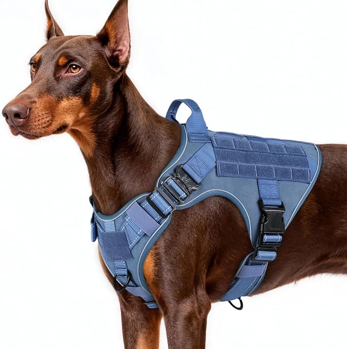 rabbitgoo Tactical Dog Harness for Large, Heavy Duty Military No Pull Vest | Sturdy Metal Buckles, 5 Adjustments, Molle System, Powerful Pullers for Training, Hunting, Outdoor, Blue Reflex, Large