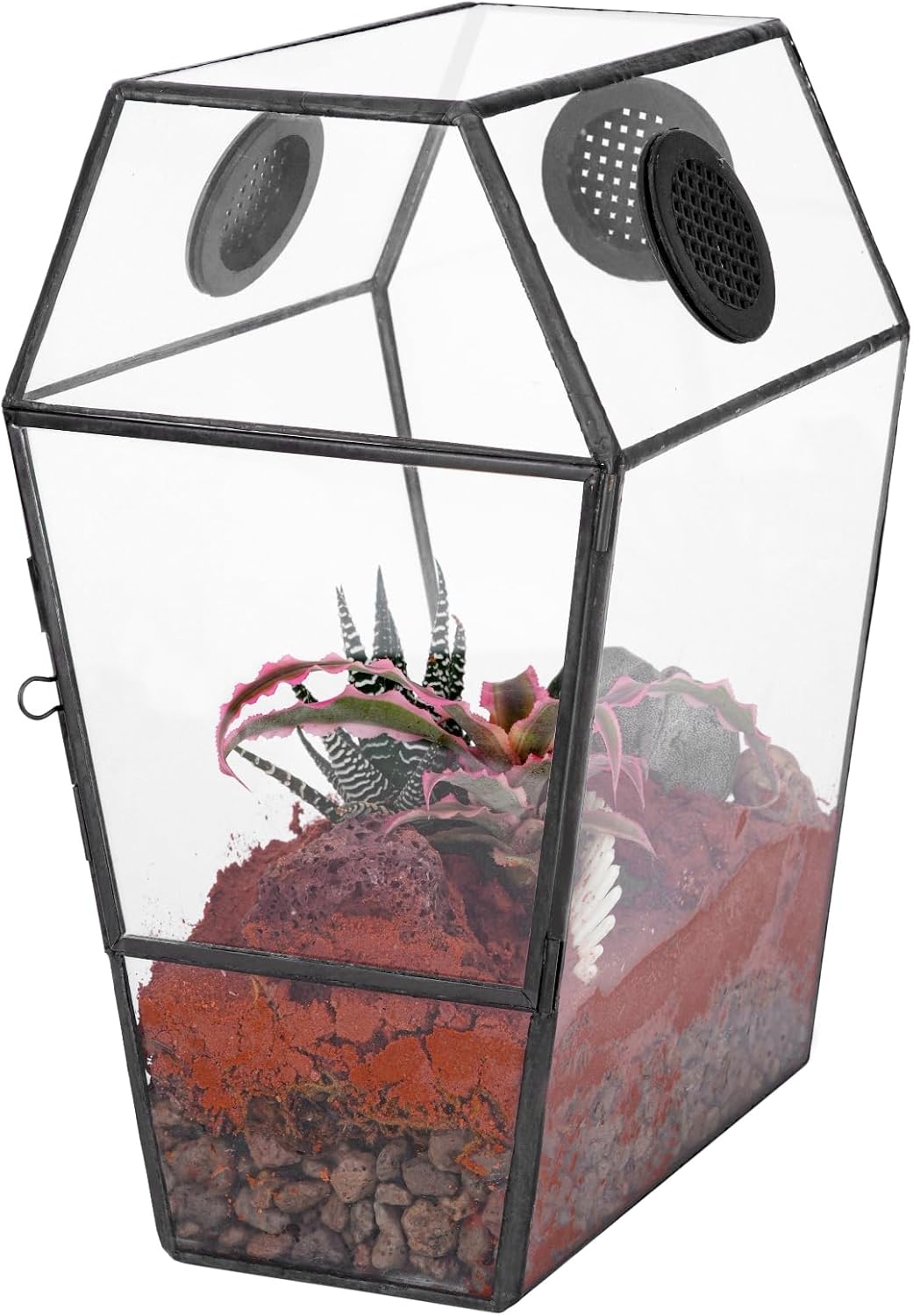 NCYP Gothic Glass Enclosure for Jumping Spider, Snails, Insects - Front Opening Door Geometric Cactus Plants Terrarium with Vent Holes, Indoor Tabletop Coffin Shape Decor, Black (Terrarium Only)