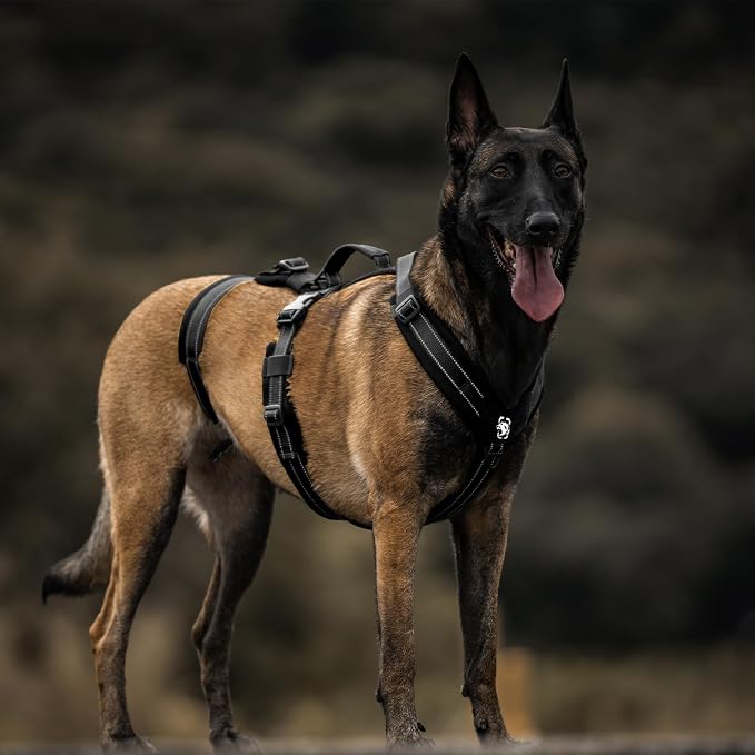 OneTigris Dog Harness No Pull Adjustable Tactical Harness with Soft Padding | Y-Shaped Reflective High-tensile Nylon, 1 Handle, 3 D-rings Easy Walk Dog Harness for Medium Large Dogs Easy on/off Tactical