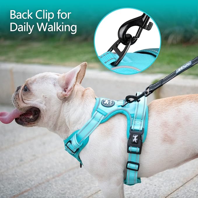 PoyPet No Pull Dog Harness, Reflective Vest with 2 Leash Clips & Handle | Lockable Neck Release Buckle, No Choke, Adjustable, Soft Padded, for Walking Training, Mint Blue Matching Trim, Large