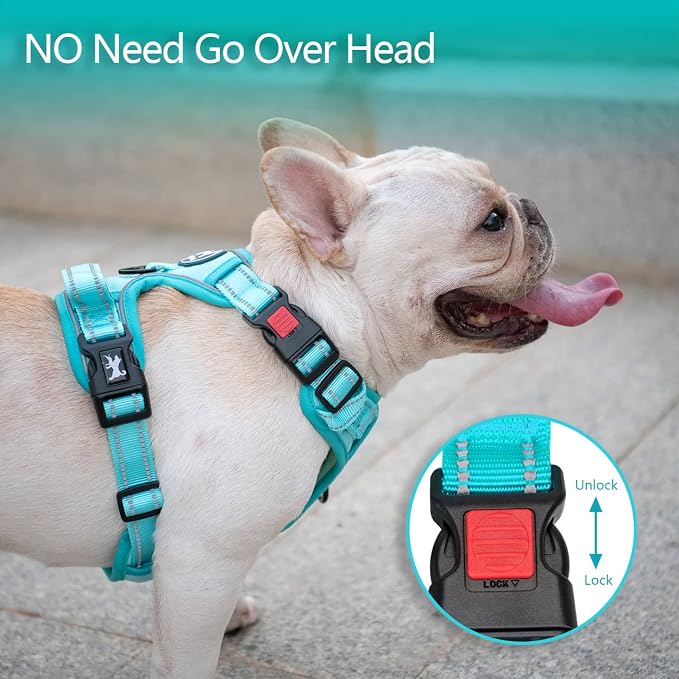 PoyPet No Pull Dog Harness, Reflective Vest with 2 Leash Clips & Handle | Lockable Neck Release Buckle, No Choke, Adjustable, Soft Padded, for Walking Training, Mint Blue Matching Trim, Small
