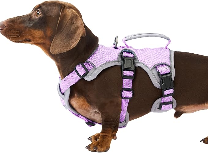 Escape Proof Dog Harness, Dachshund Harness, Reflective Dog Harness with Handle, Durable,Adjustable Vest for Small Medium Large Dogs Walking, Training, and Running Gear (Lavender Purple,S)