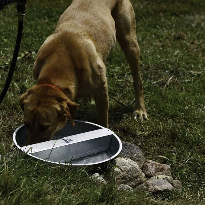 Little Giant Dry Food Automatic Steel Dog Feeder Chow Hound 25 Pound Capacity & 13-Quart Galvanized Steel Ever Full Pet Water Bowl Dish