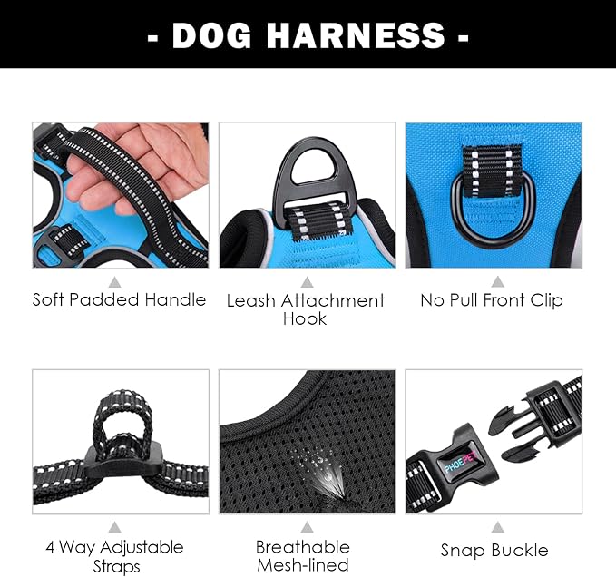 Reflective Dog Harness Large Breed Adjustable No Pull Vest | with Handle 2 Metal Rings 3 Buckles [Easy to Put on & Take off](XL, Blue)