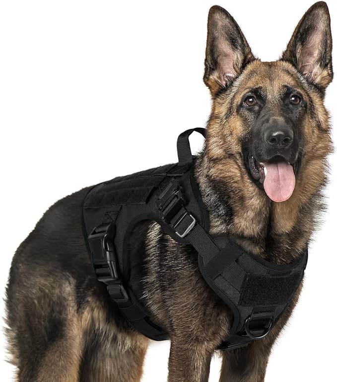 rabbitgoo Tactical Dog Harness X-Large, Heavy Duty Military No Pull Vest | Sturdy Metal Buckles, 5 Adjustments, Molle System, Powerful Pullers for Training, Hunting, Outdoor, Black, X-Large