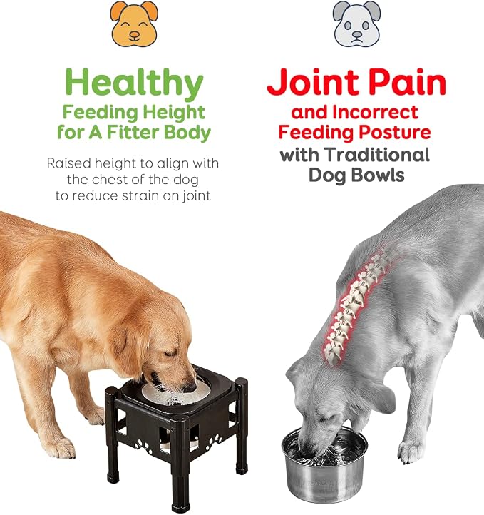 Elevated Dog Bowls, 80Oz Stainless Steel Water Feeder | 3 Adjustable Heights (6.1", 7.7", 9.3"), Anti-Spill Design for Small to Medium Sized Dogs