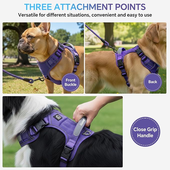Heavy Duty Tactical Dog Harness for Medium Dogs, No Pull Dog Harness with Handle & Front Clip, Reflective Soft Padded, Hook and Loop Panel, Dog Vest for Walking, Service Training, Purple