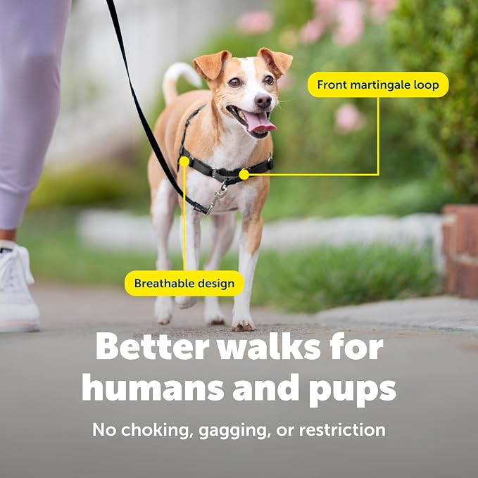 PetSafe Easy Walk Harness, No Pull Dog Harness, Black, Small | Patented Martingale Loop Gives Gradual Shoulder Pressure to Stop Pulling, Front-Chest Leash Clip Prevents Gagging
