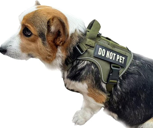 Tactical Dog Harness for Small and Medium Breeds, Air Dog Vest No Pull with Reflective Do Not Pet Patches, Breathable Dog Molle Vests for Training Walking Hunting Green