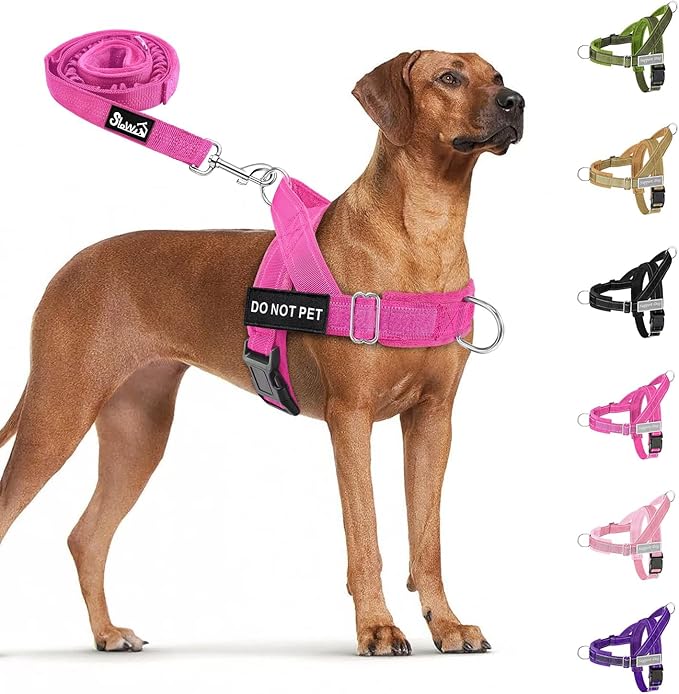 SlowTon No Pull Dog Harness with Front Clip - Heavy Duty, Soft Padded | Neck & Chest Adjustable, Tactical Pet Vest and Leash Set for Large Medium Sized Dogs, for Easy Walk & Training, Fuchsia XL