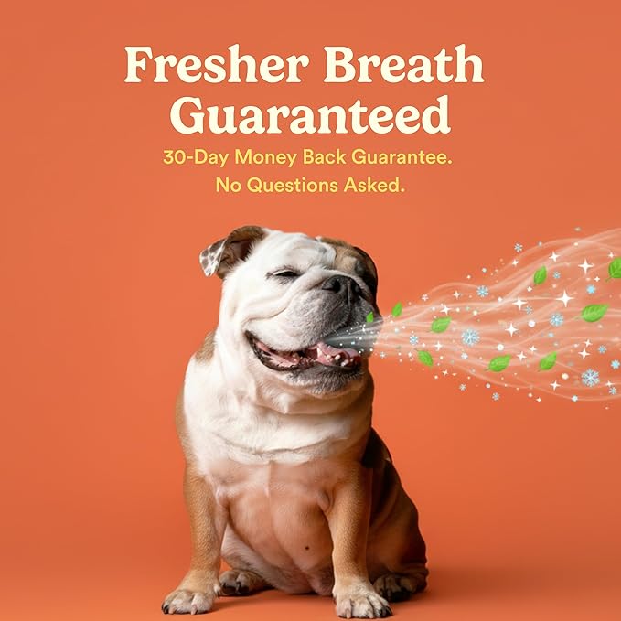 Jasper Dog Tooth Brushing Kit and Dog Toothpaste Kit with Dog Toothbrush Enzymatic, Plaque Remover Imporves Bad Breath Natural Pet Toothpaste Dog Toothbrush and Toothpaste 2 oz Bacon Flavor