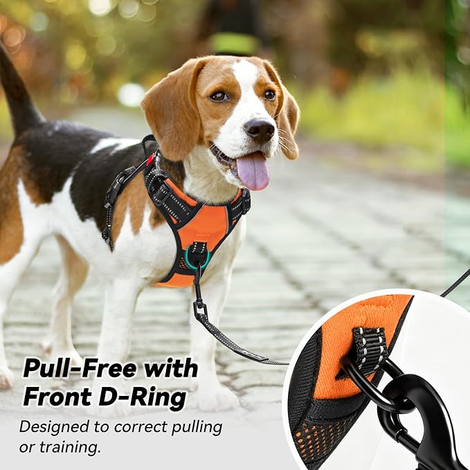 PoyPet No Pull Dog Harness Large with Front Clip & Neck Release Buckle | No Choke, Adjustable Vest, Reflective, Back Clip, Lockable, Soft Padded, Easy Control Handle for Walking Training, L, Orange