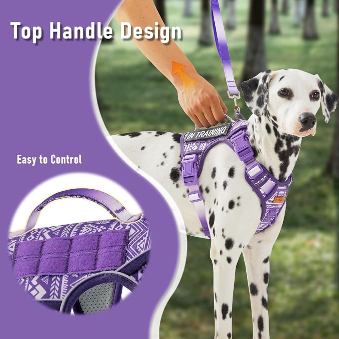 AUNZO Dog Vest Harness with 2 Patches, No Pull Dog Harness for Walking Training Hiking, Metal D-Rings Easy on/Off Neck Buckle Reflective Strips Soft Padded Handle, Purple