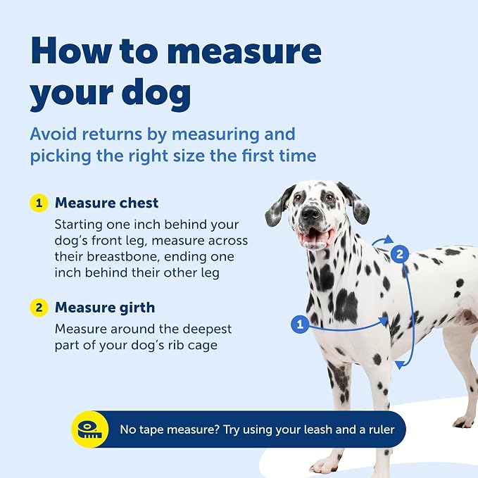 PetSafe Easy Walk Harness, No Pull Dog Harness, Fawn, Large | Patented Martingale Loop Gives Gradual Shoulder Pressure to Stop Pulling, Front-Chest Leash Clip Prevents Gagging