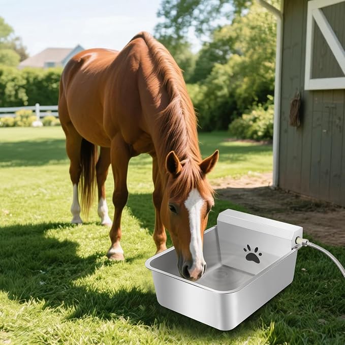 6 Gallons Automatic Animal Water Dispenser X-Large Stainless Steel | Outdoor Waterer Bowl, For Dogs & Chicken, Auto Fill Livestock Water Trough, With 2m Hose, 13.6"x17"x9"