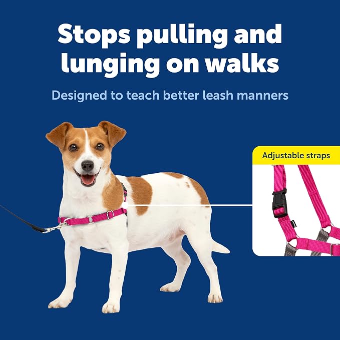 PetSafe Easy Walk Harness, No Pull Dog Harness, Raspberry, Small | Patented Martingale Loop Gives Gradual Shoulder Pressure to Stop Pulling, Front-Chest Leash Clip Prevents Gagging