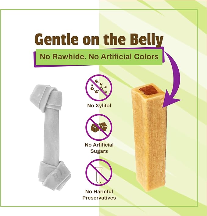 Pet Naturals BusyButter Balanced Belly Peanut Butter Bones, Rawhide-Free Chews for Medium/Large Dogs, Long Lasting Chew Bones, Probiotics & Pumpkin for Gut Health, 4 Count