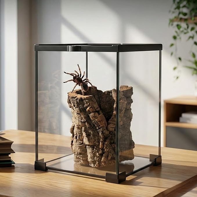 8x8x12 Terrarium Glass Tarantula Enclosure: Full View Stackable Tank | Jumping Spider Enclosure with Lockable Sliding Screen Top for Crested Gecko Hermit Crab - Vertical Habitat for Arboreal Frog