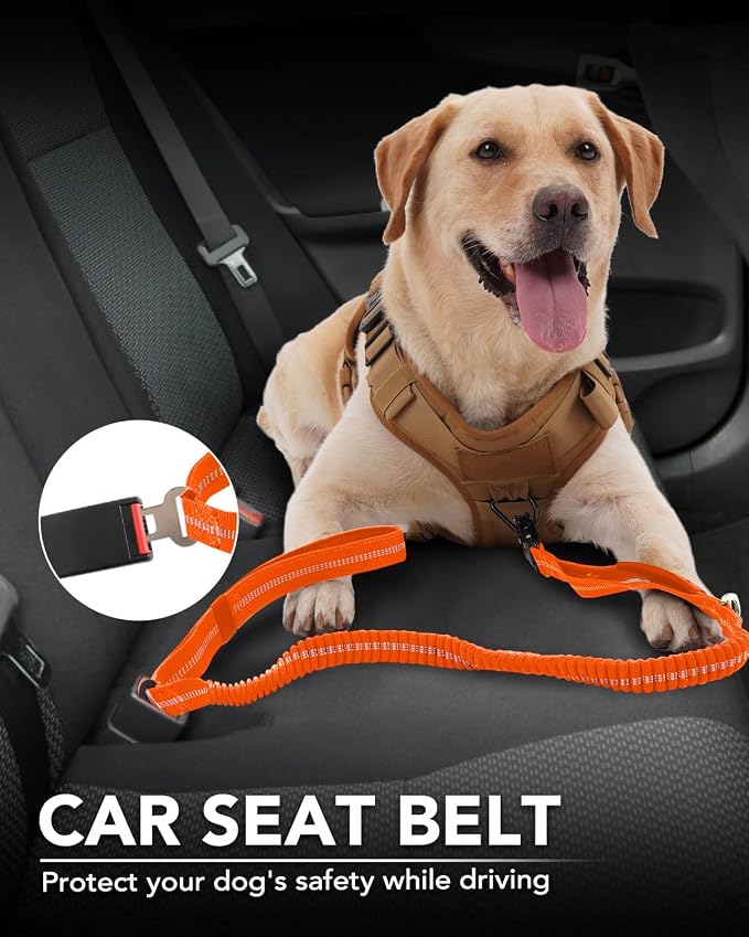 Joytale Tactical Bungee Dog Leash, Shock Absorbing No Pull, Orange | for Large Dogs That Pull, 2 Padded Handles for Control, Car Seatbelt Clip, Reflective for Night Safety, Metal Frog Clip