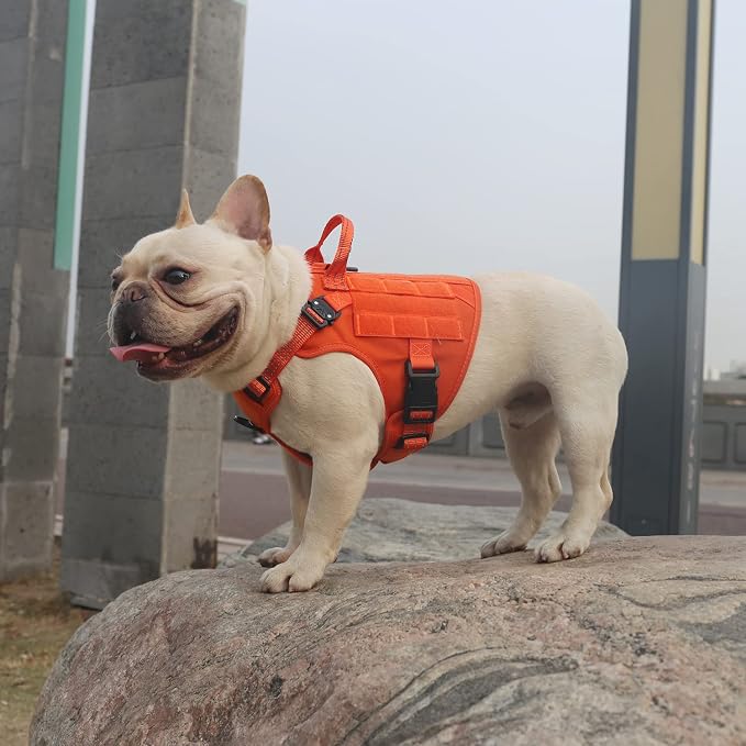 ICEFANG Tactical Dog Harness for Small Dogs,Reflective No Pull Dog Vest | with Control Handle,Adjustable,Front Hook,2 Leash Clips,Soft Padded,MOLLE Panel,Orange,Small