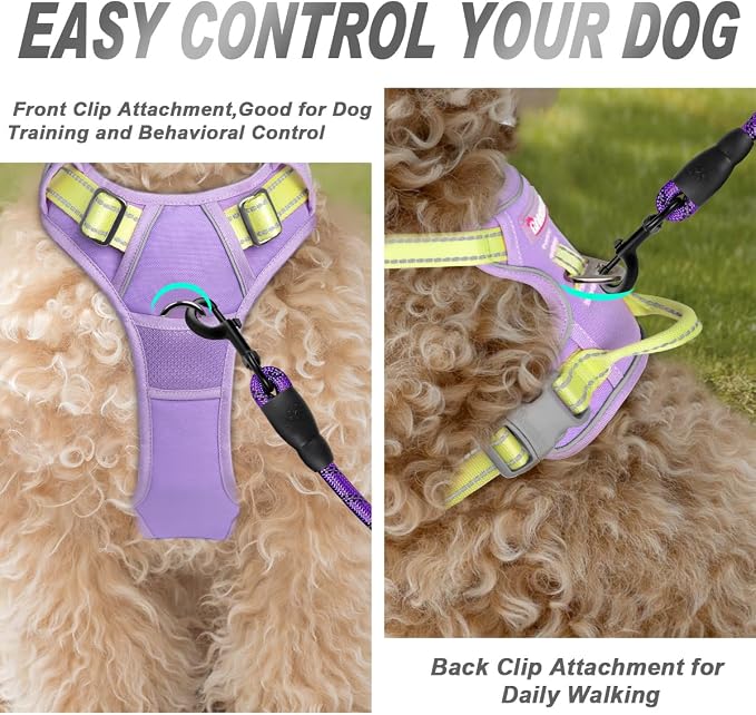 BARKBAY Dog Harness No Pull for Small Sized Dog Front Back Clips,Dog Vest | Soft Padded No Choke With Handle,Easy On&Off,Adjustable Reflective For Walking Training Running(Violet Purple & Sunlight,XS)