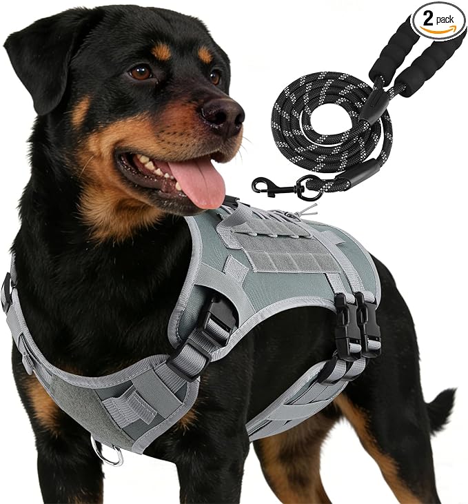 YooxArmor No Pull Dog Harness and Leash Set, Tactical Adjustable for Small Sized Dog, Easy Walk Soft Vest Padded Oxford for Training Hiking (Gray-S)