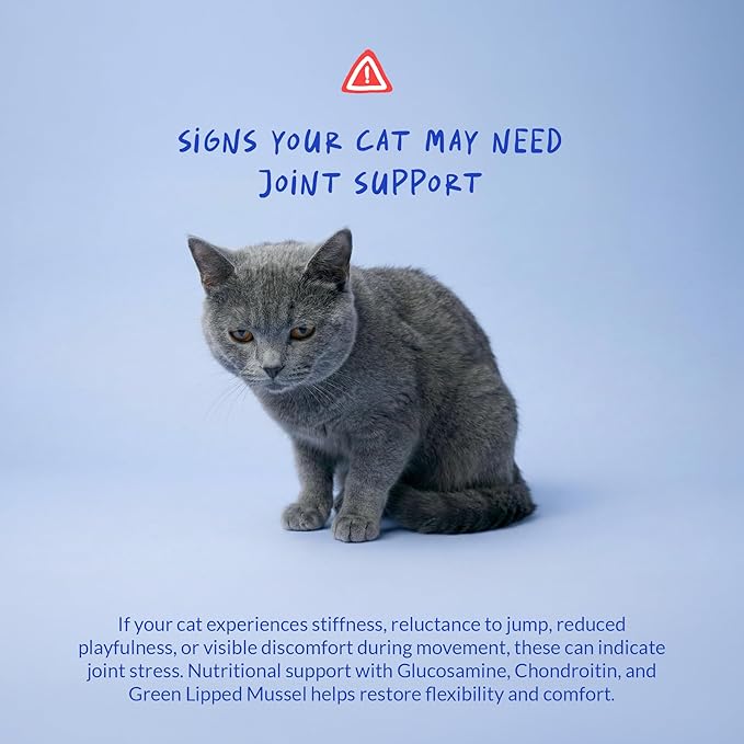 Hip and Joint Supplement for Cats - Glucosamine Powder with Green Lipped Mussel, MSM, Chondroitin, and Vitamin E - 4.23oz/120g