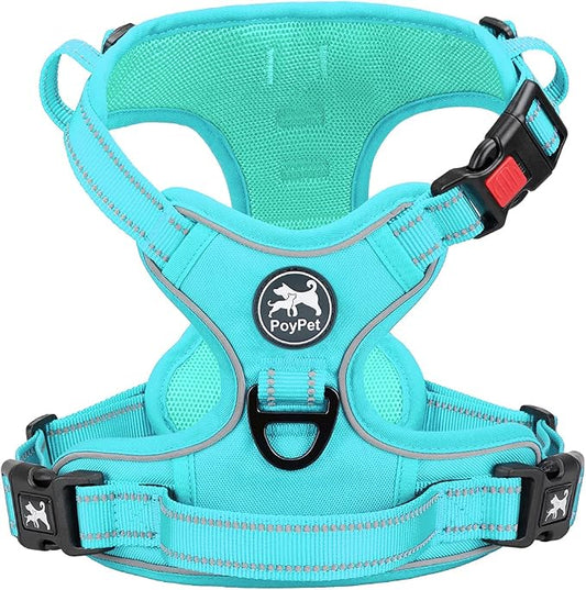 PoyPet No Pull Dog Harness, Reflective Vest with 2 Leash Clips & Handle | Lockable Neck Release Buckle, No Choke, Adjustable, Soft Padded, for Walking Training, Mint Blue Matching Trim, Small