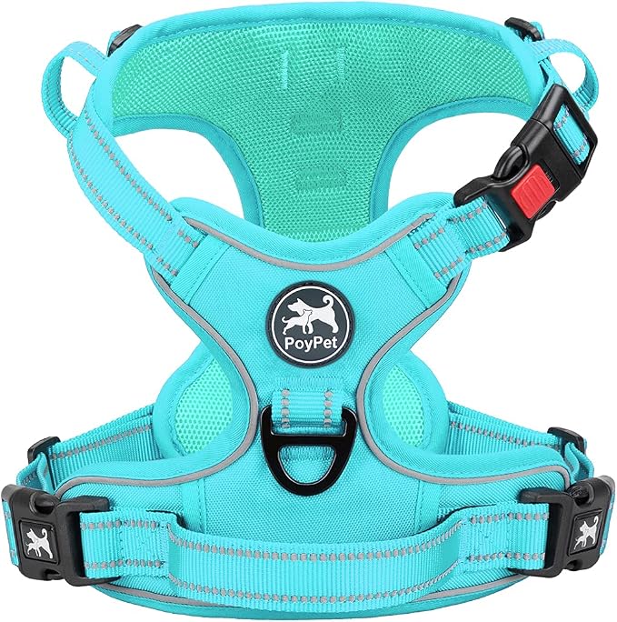 PoyPet No Pull Dog Harness, Reflective Vest with 2 Leash Clips & Handle | Lockable Neck Release Buckle, No Choke, Adjustable, Soft Padded, for Walking Training, Mint Blue Matching Trim, Medium