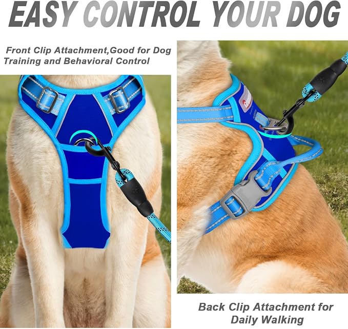 BARKBAY Dog Harness No Pull for Medium Sized Dog Front Back Clips,Dog Vest | Soft Padded No Choke With Handle,Easy On&Off,Adjustable Reflective For Walking Training Running(Sapphire Blue & Blue,M)