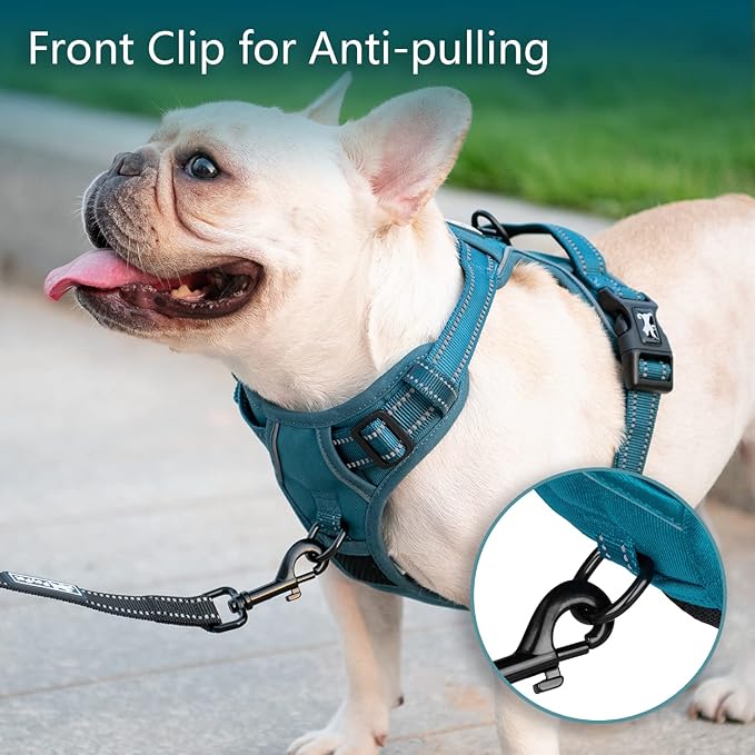 PoyPet No Pull Dog Harness, Reflective Vest with 2 Leash Clips & Handle | Lockable Neck Release Buckle, No Choke, Adjustable, Soft Padded, for Walking Training, Tumalo Teal, Large