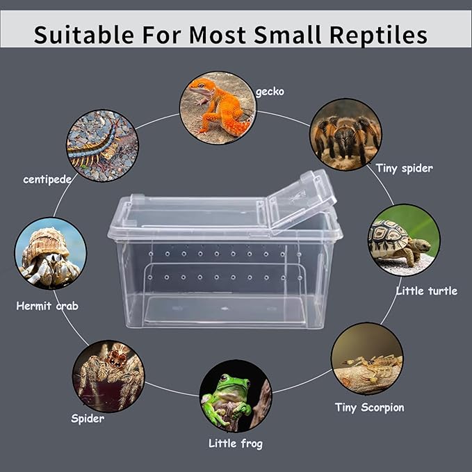 PINVNBY Reptile Feeding Box 8 PCS Snake Breeding Box Lizard Cage Habitat Hatching Container 7.48"x4.92"x2.95" Transparent Portable Plastic Cricket Cage for Spider Scorpion Gecko Tortoise Treefrog