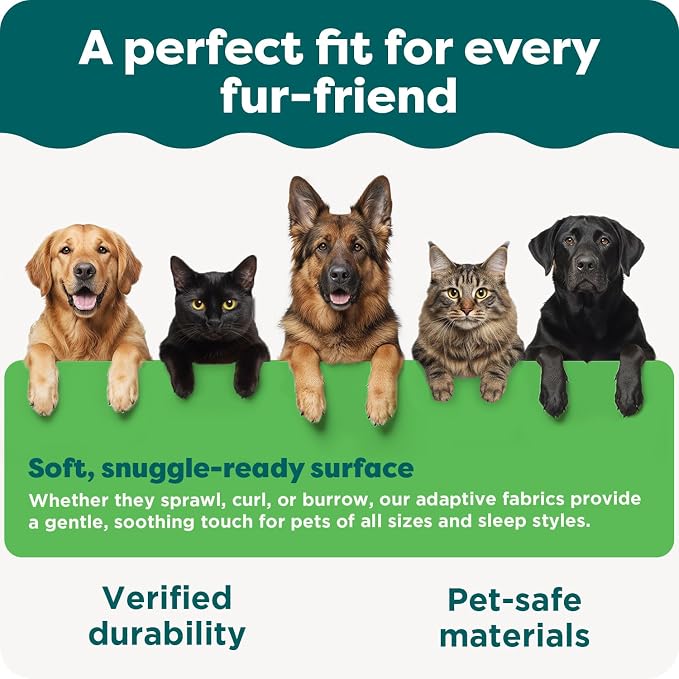 FurHaven Elevated Dog Bed, Cooling Raised Pet Cot with Breathable Mesh, Durable Steel Frame, Indoor/Outdoor Use, Easy Assembly, Jumbo XL, Nylon Mesh with Steel Frame, Capri Blue