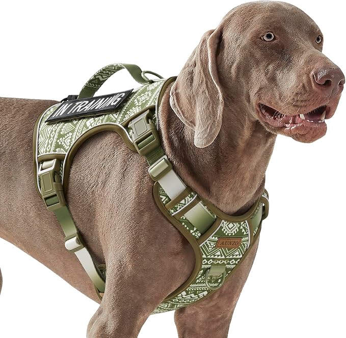 Heavy Duty No Pull Tactical Dog Harness for Large Dogs, Labrador Golden Retriever German Shepherd, Adjustable Soft Padded Dog Vest, Breathable Pet Oxford Vest with Easy Control Handle, Green Ethnic L