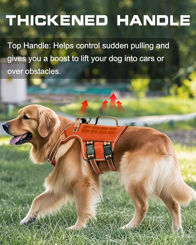 Dog Harness Medium Sized Dog, No Pull Dog Vest with Molle System | Tactical, Easy Control With Handle, Breathable Soft Padded, Adjustable, Reflective, No Choke for Walking, Orange Medium