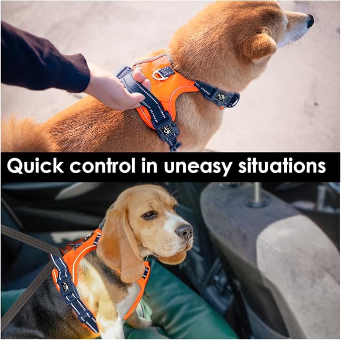No Pull Dog Harness, Unique Colors Reflective Adjustable Dog Vest | with Soft Training Handle Metal Clips for Small Medium Large Dogs (Orange Base & Blue Straps,L)