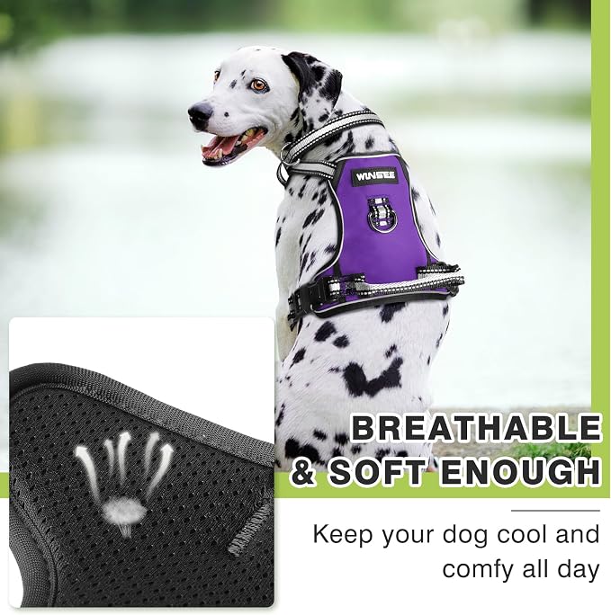 Dog Harness No Pull, Pet Harnesses with Dog Collar, Adjustable Reflective Oxford Outdoor Vest, Front/Back Leash Clips for Small, Medium, Large, Extra Large Dogs, Easy Control Handle for Walking