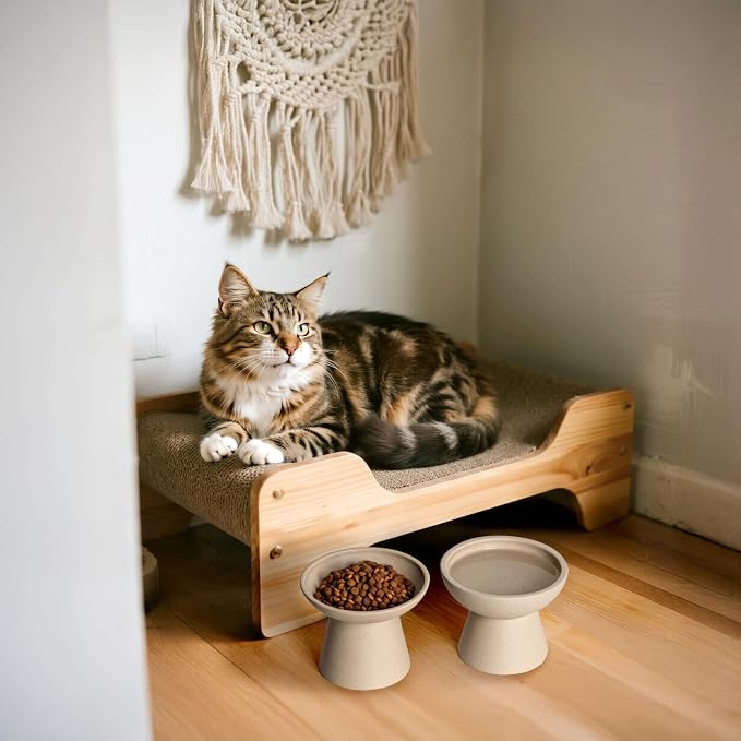 CEEFU Extra Wide Elevated Ceramic Cat Bowl, 6.2" Shallow Dish for Whisker Fatigue Relief, 5" Height for Easy Feeding, Durable Raised 2 Cat Food Bowls, Pottery Clay (Not Glazed)