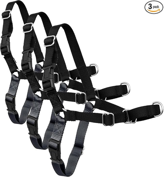 PetSafe Easy Walk Harness for Dogs - Pull-Free Walks - Patented Martingale Loop Design - Front Chest Leash Attachment - Comfort Straps - Breathable Harness Design, Charcoal/Black, X-Large (Pack of 3)