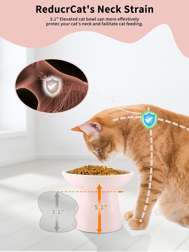 LoeJan Elevated Cat Food and Water Bowls Set, Extra Wide and Raised Ceramic Feeder, Anti-Vomit Whisker-Free Pressure Feeding Bowl for Kittens Adult Cats Small Dogs(Pink, Food Bowl)