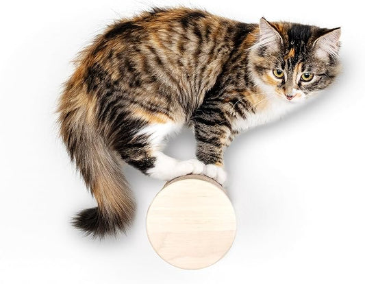 Wall-Mounted Cat Perch & Scratching Post (Modern Cat Wall Furniture) - Milestone | FurHaven Ascentials
