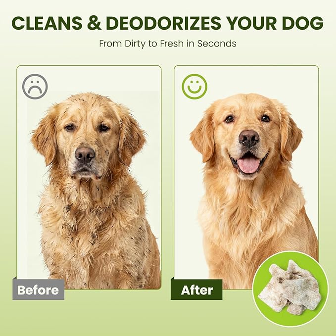 Hypoallergenic Pet Wipes for Dogs & Cats – Quick Clean & Deodorize Paws, Butt, Eyes, Ears, Face & Fur | Daily Grooming After Walks and Between Baths | Extra Large & Thick | Coconut Scented, 400 Count