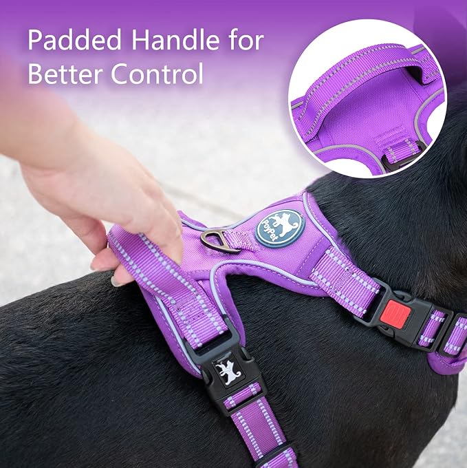 PoyPet No Pull Dog Harness, Reflective Vest with 2 Leash Clips & Handle | Lockable Neck Release Buckle, No Choke, Adjustable, Soft Padded, for Walking Training, Purple Matching Trim, Small