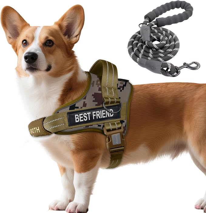 AUROTH Dog Harness and Leash Set Small Sized Dog, No Pull Escape Proof Vest | with Leash Clips, LED light clip, Breathable Mesh Padded No Choke, Easy Walking and Training, Desert Camo, Small