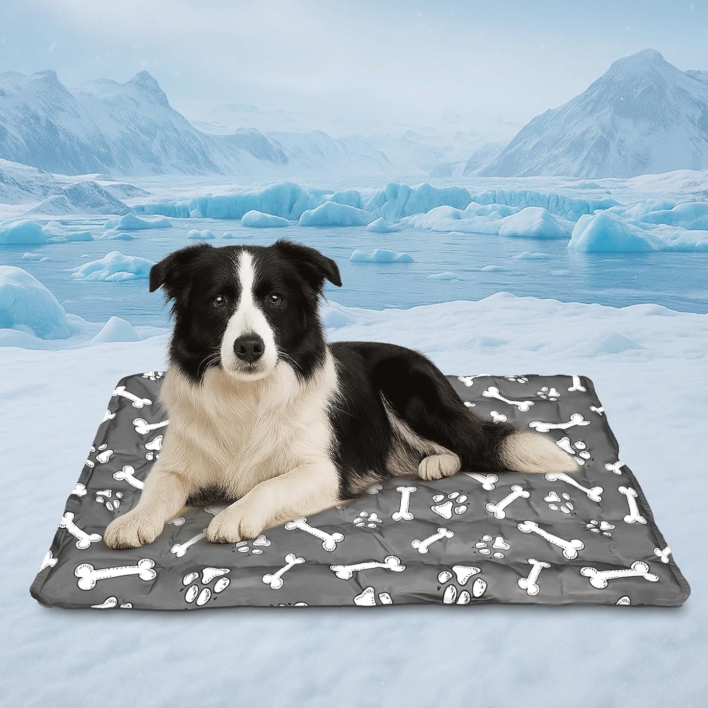 Cooling Pad for Dog,Instant Pet Cool Mat for Puppy,Comfortable Cool Pet Mat for Cat.Portable Dog Bed for Summer. Suitable for Outdoor Summer Crate Pad.Long Time Cooling.Bone(Size-M 15.7 * 19.7in)