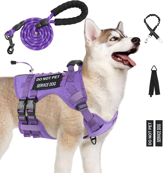 No Pull Tactical Dog Harness Medium Sized Dog, Service Dog Vest, M, Purple | Tactical Dog Vest Harness and Leash Set, Adjustable Military Service Dog Harness with Handle for Medium Large Dogs