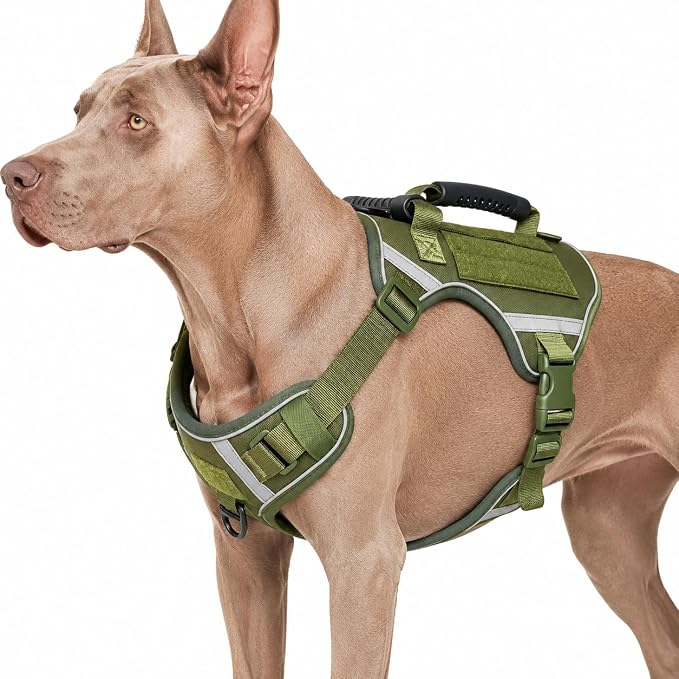 Tactical Dog Vest with Handles,No Pull Tactical Service Dog Harness with Molle System, Adjustable Reflective Pet Vest for Walking Hiking Training Army Green M