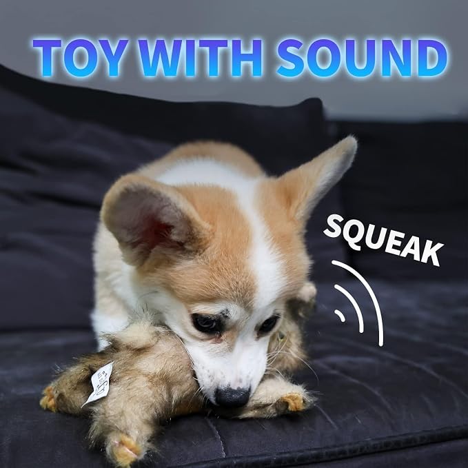 ALL FOR PAWS Classic Rabbit Squeaky Doy Toy, Bunny Dog Toy for Small Medium Breed, Puppy Fetch Toy with Squeaker, Plush Chew Dog Toy, Brown Rabbit -Small Size