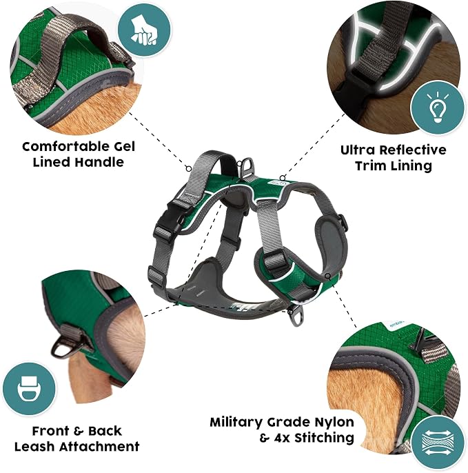 Embark No Pull Dog Harness, Reflective Adjustable Training Vest, No Choke | Adjustable straps fit all dog breeds with sturdy hooks; 360° reflective trim, soft padded Harness Design for All Dogs