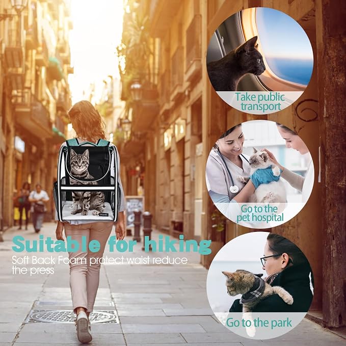 BAGLHER Expandable Pet Carrier Backpack，Pet Bubble Backpack for Small Cats Puppies Dogs Bunny, Airline-Approved Ventilate Transparent Capsule Backpack for Travel, Hiking and Outdoor Use. Green